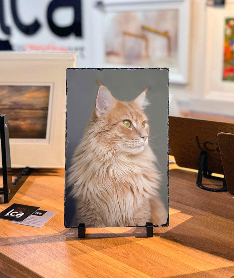 Personalised Photo Slates