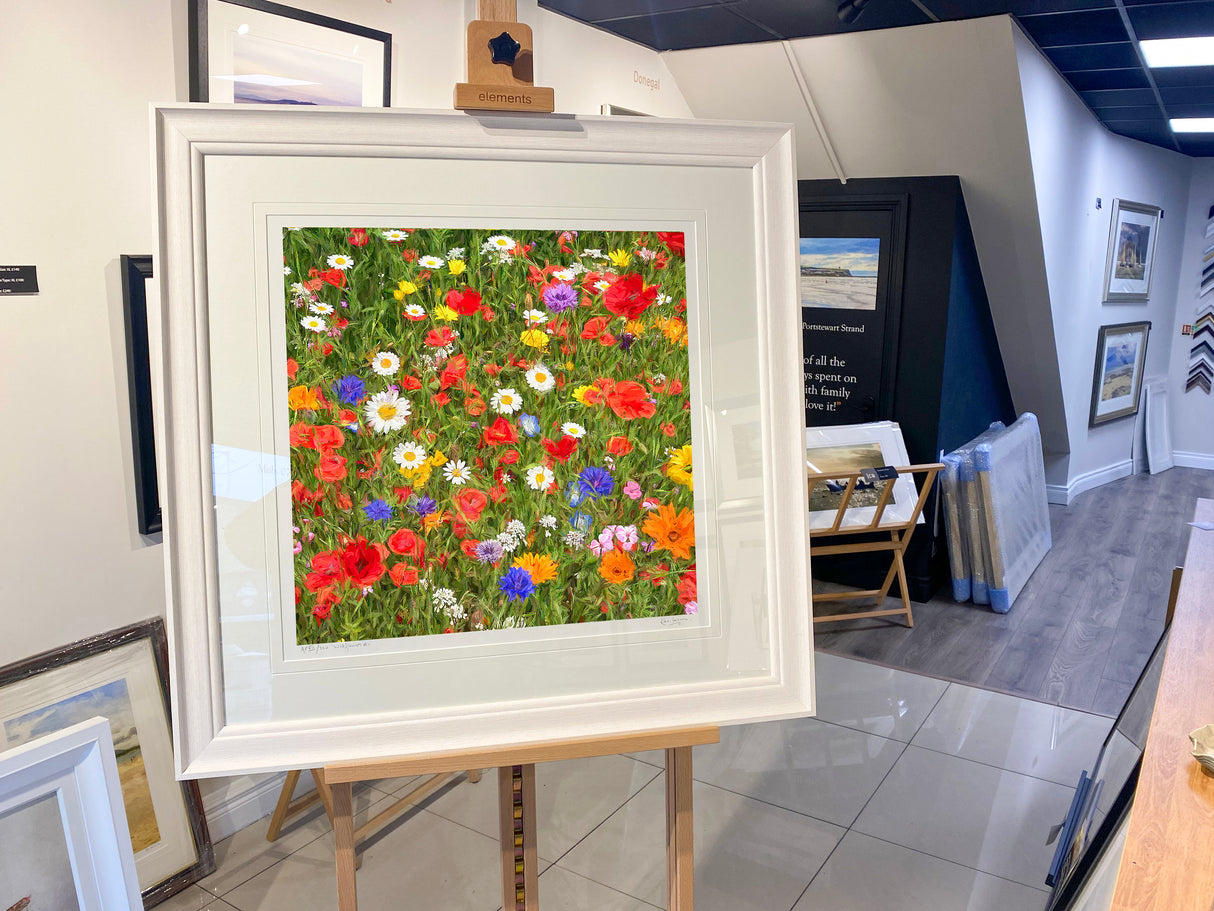 Wildflowers, Happy Together