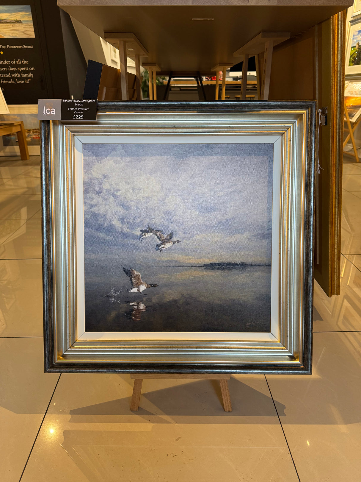 Up and Away - Strangford Lough