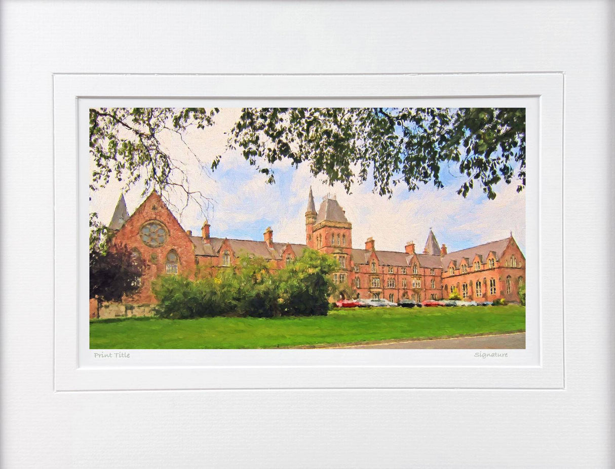 Methodist College , Belfast