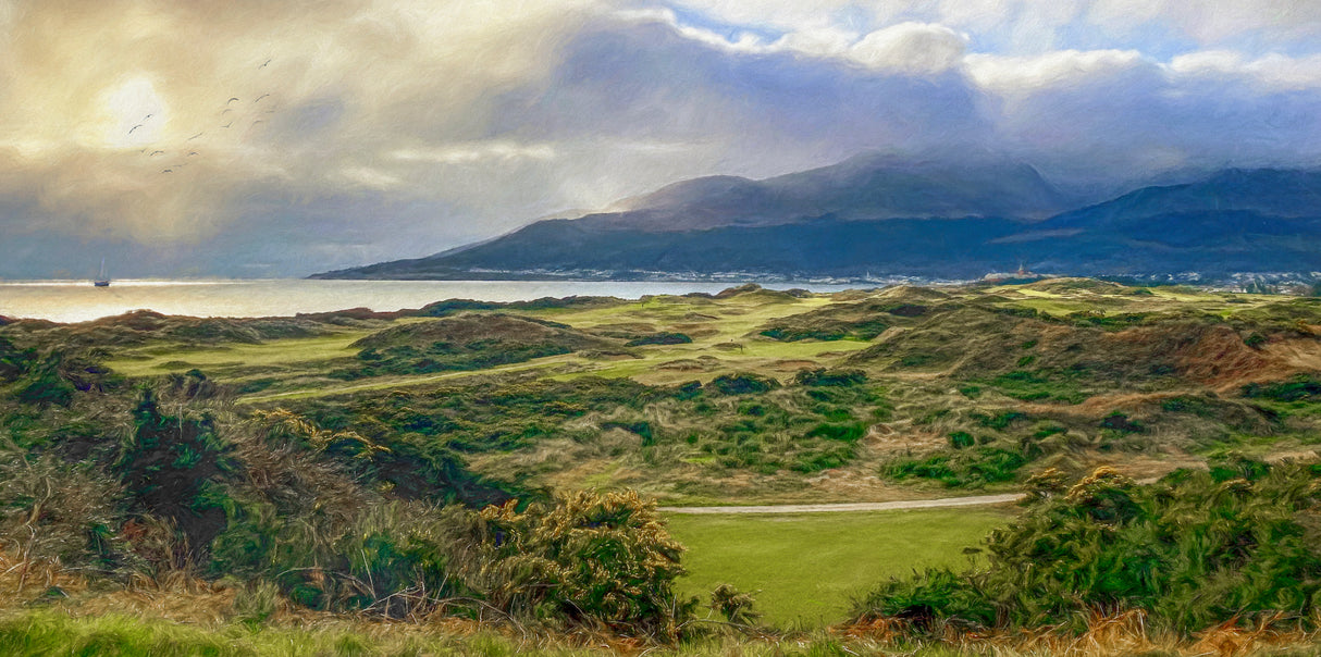 Evening Sun, Royal County Down