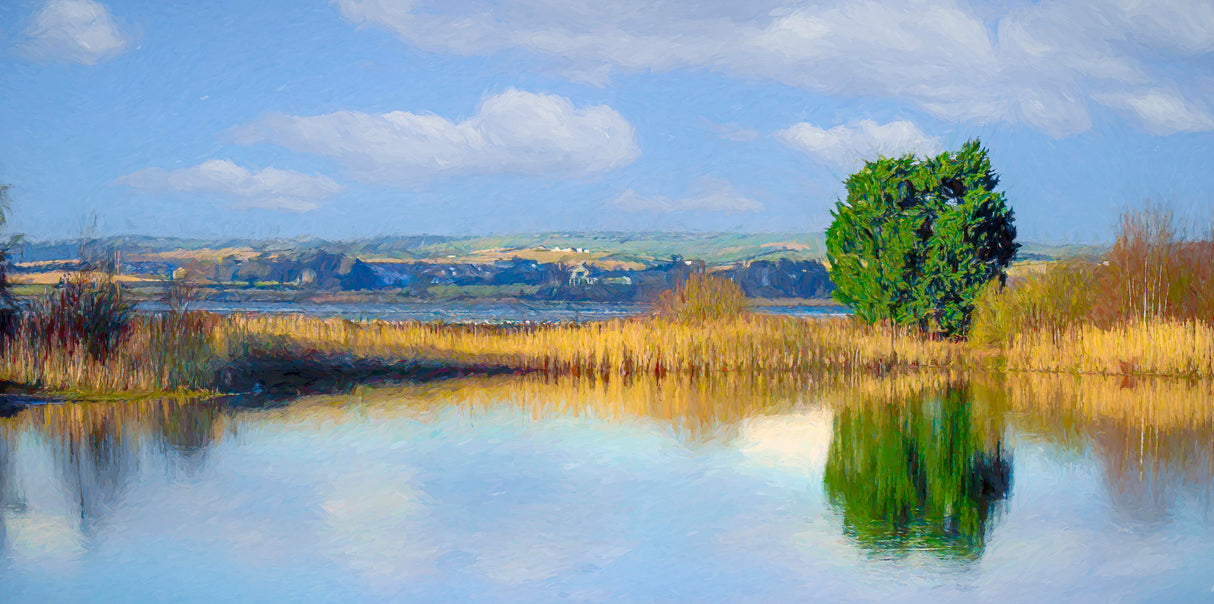 Still Morning, Castle Espie