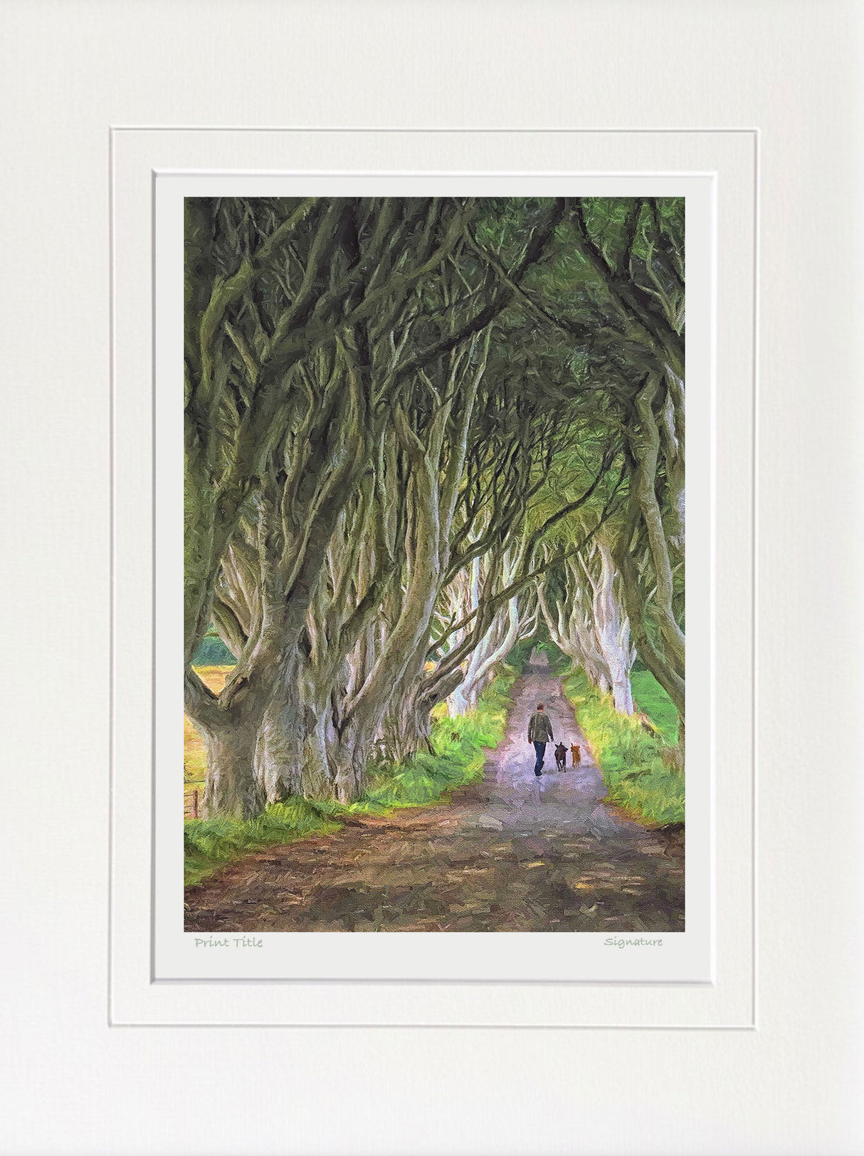 The Dark Hedges