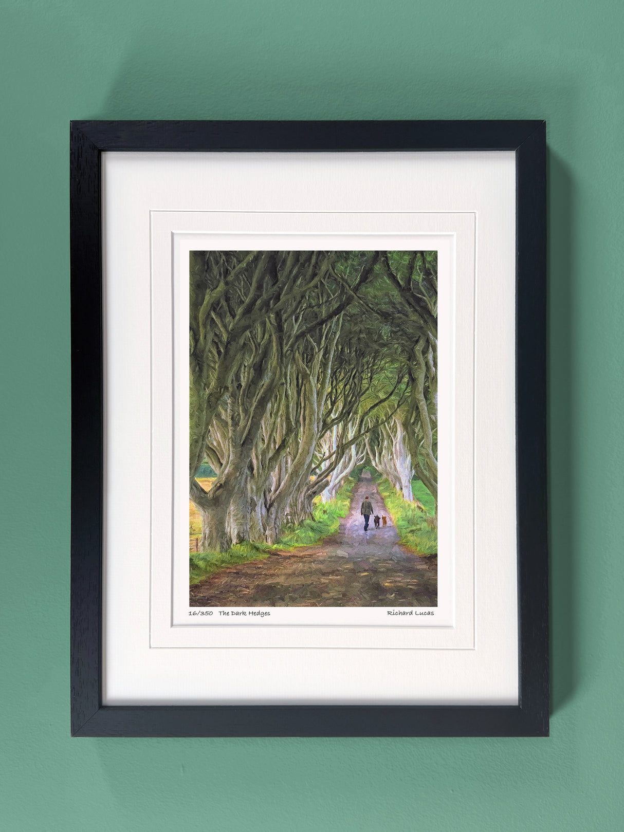 The Dark Hedges - Framed - Small print