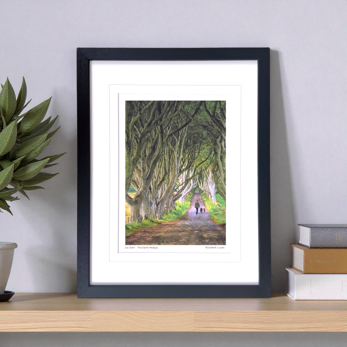 The Dark Hedges - Framed - Small print