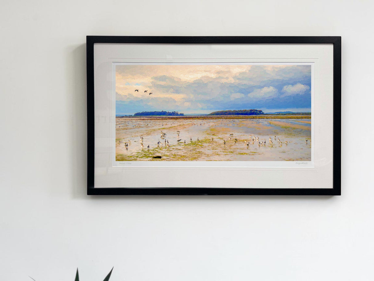 Brent Geese, Greyabbey
