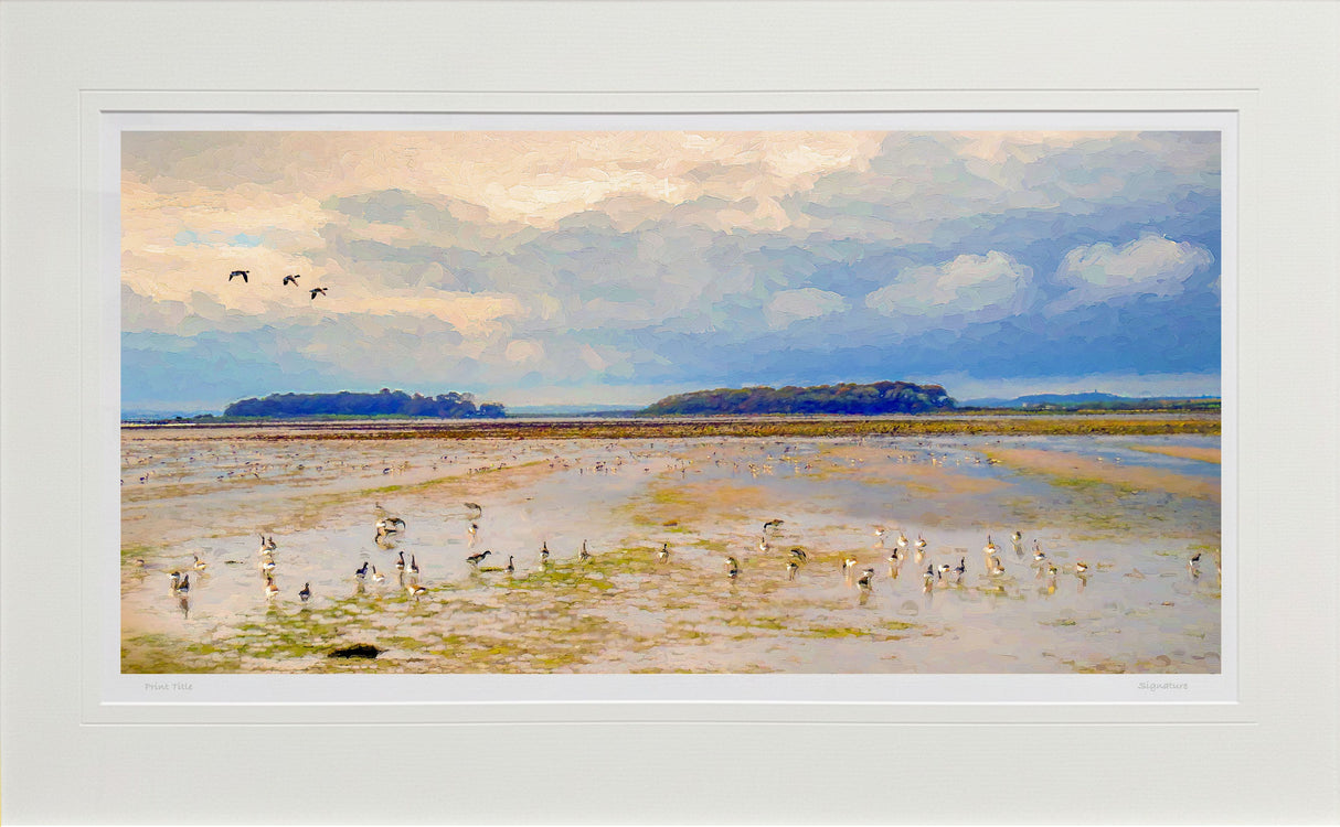 Brent Geese, Greyabbey