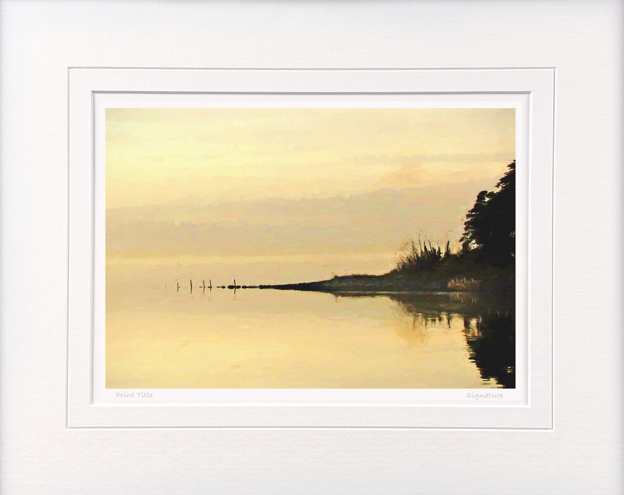 Evening Gold, Strangford Lough