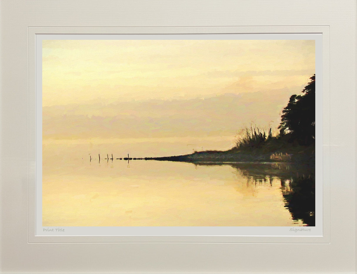 Evening Gold, Strangford Lough