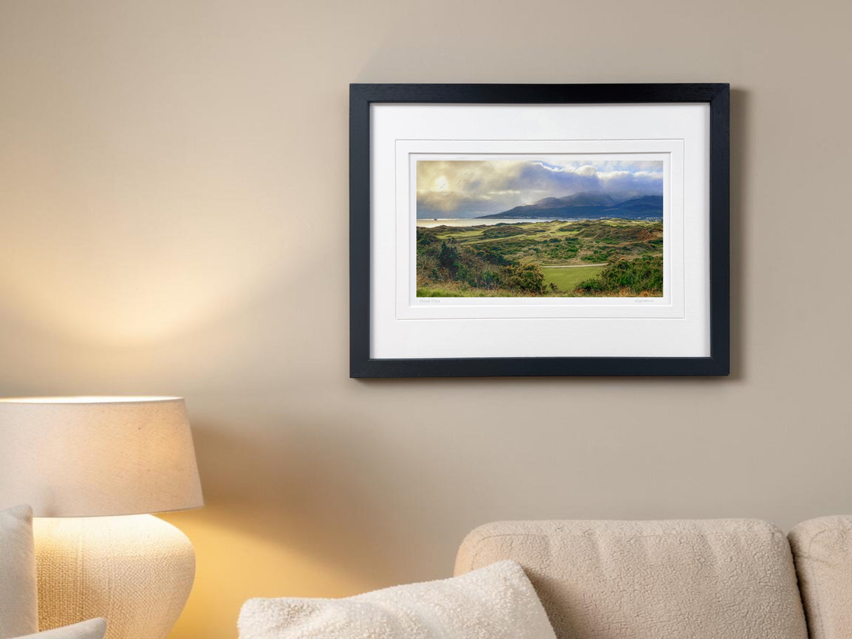 Evening Sun, Royal County Down