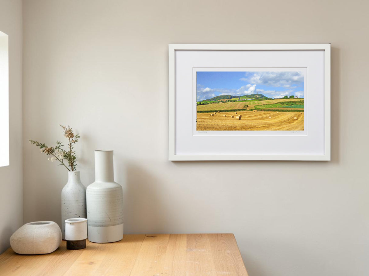 Late Summer, below Scrabo