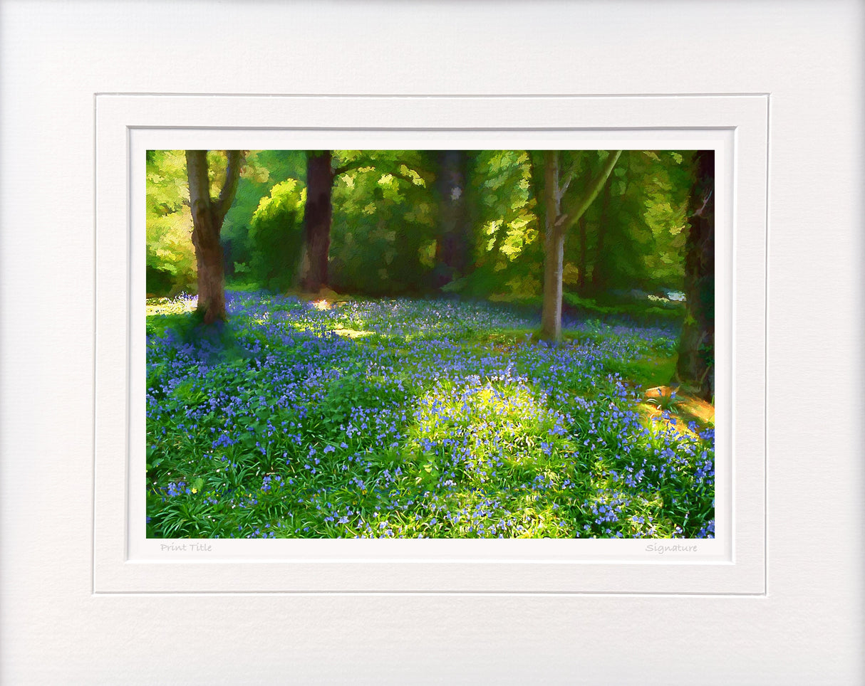 Mount Stewart - Bluebells