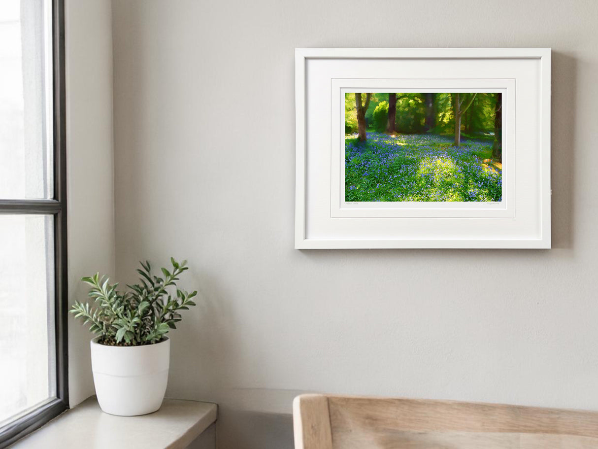 Mount Stewart - Bluebells