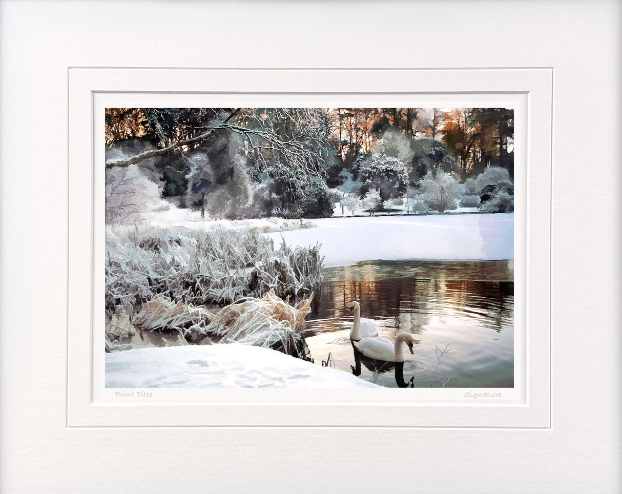 Mount Stewart - Winters Morning