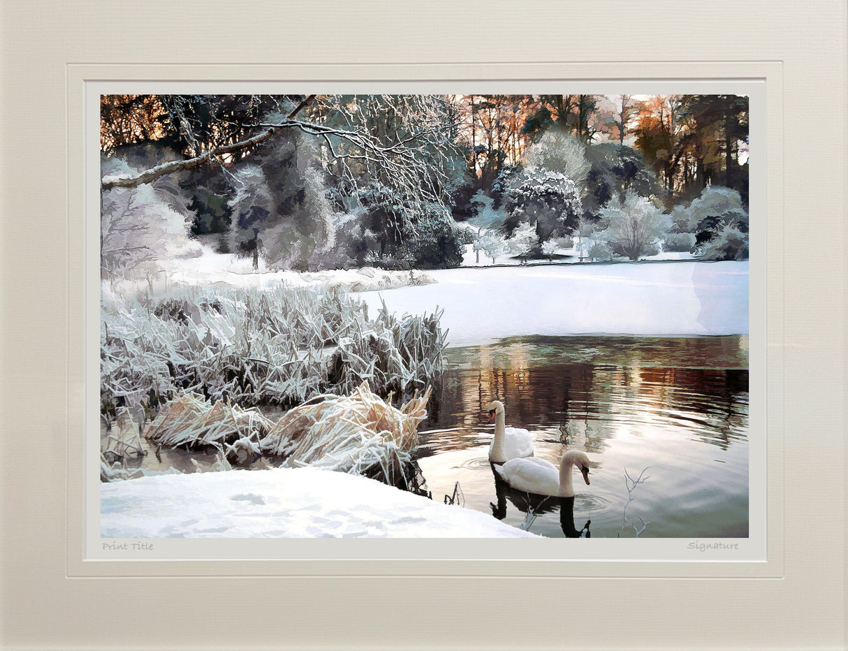 Mount Stewart - Winters Morning