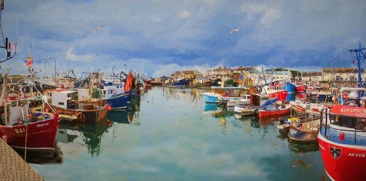 A Day Off, Portavogie