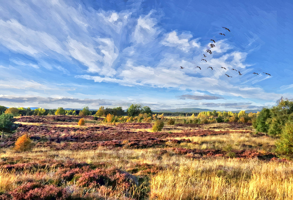 Autumn, across the moor