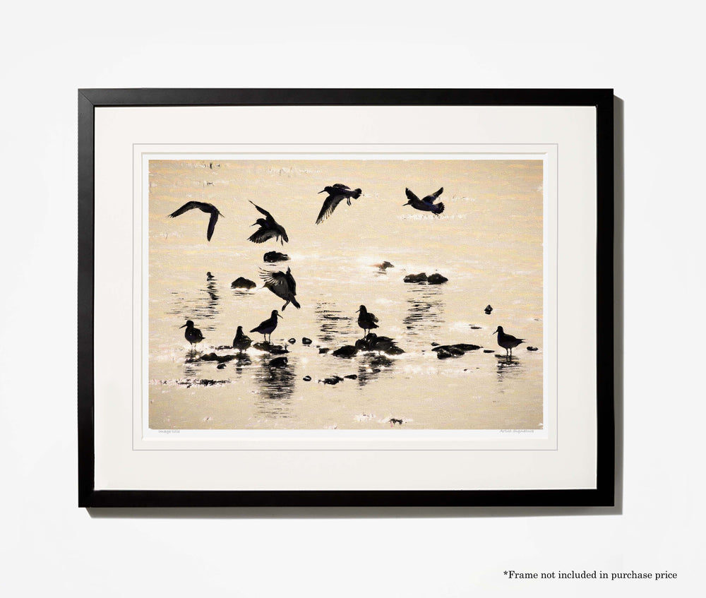 Ballet in Silhouette , Strangford Lough