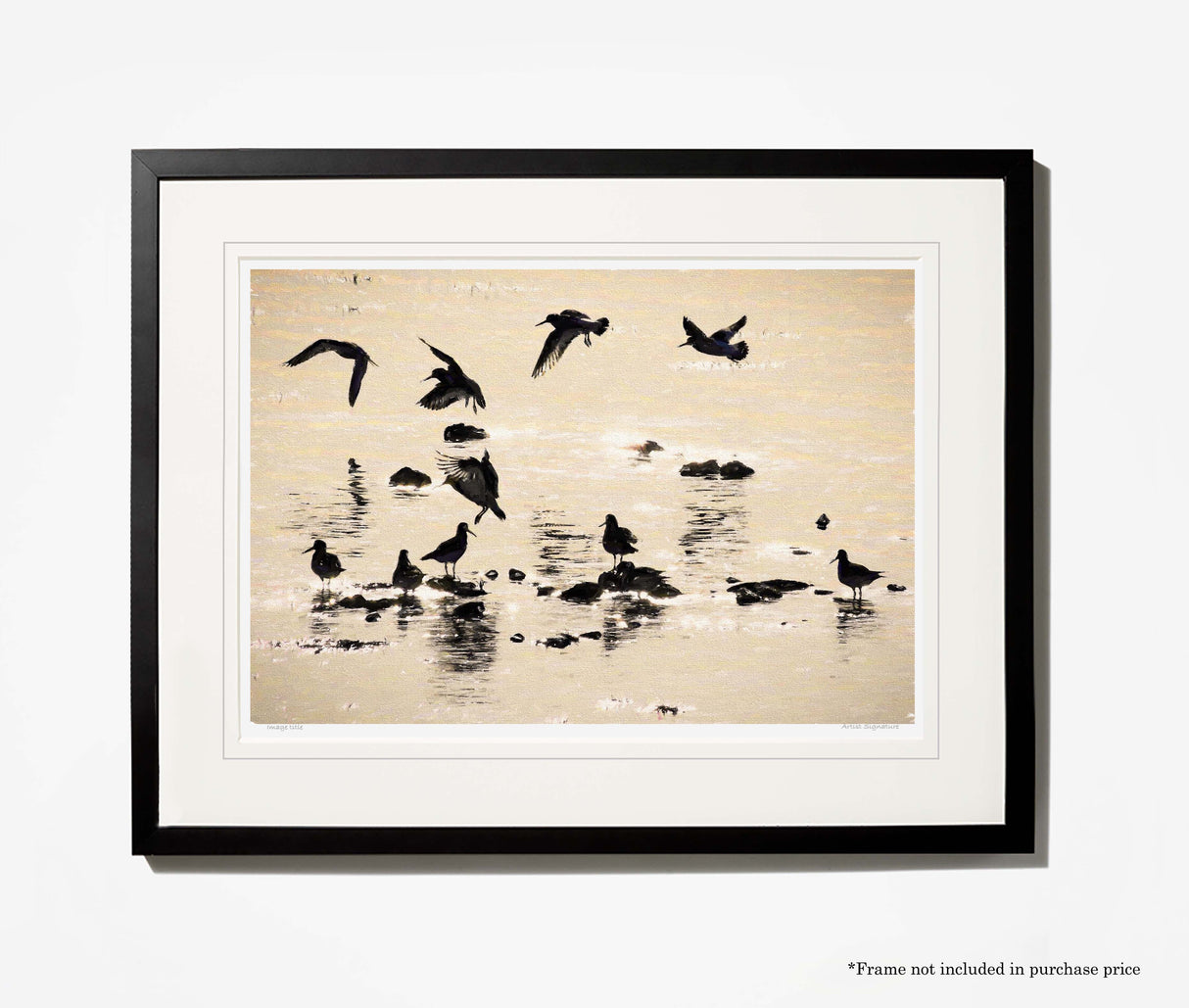 Ballet in Silhouette , Strangford Lough