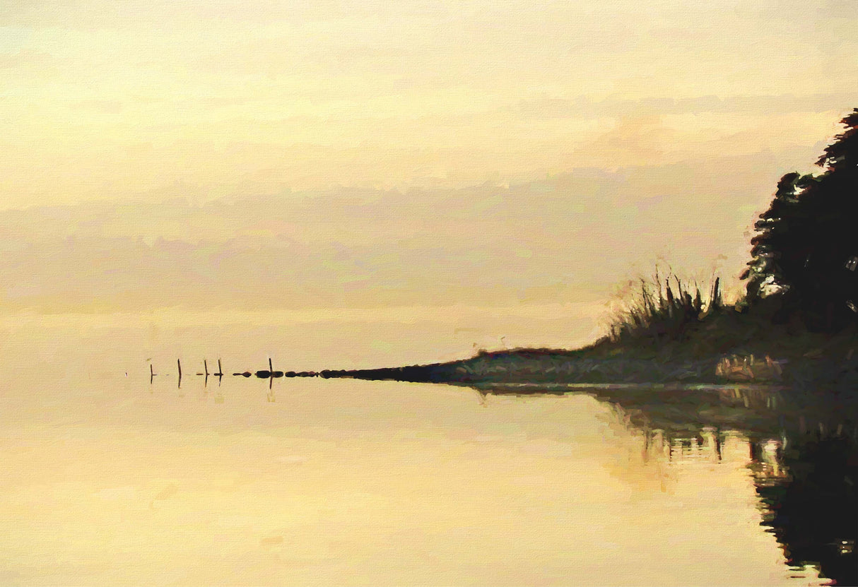 Evening Gold , Strangford Lough