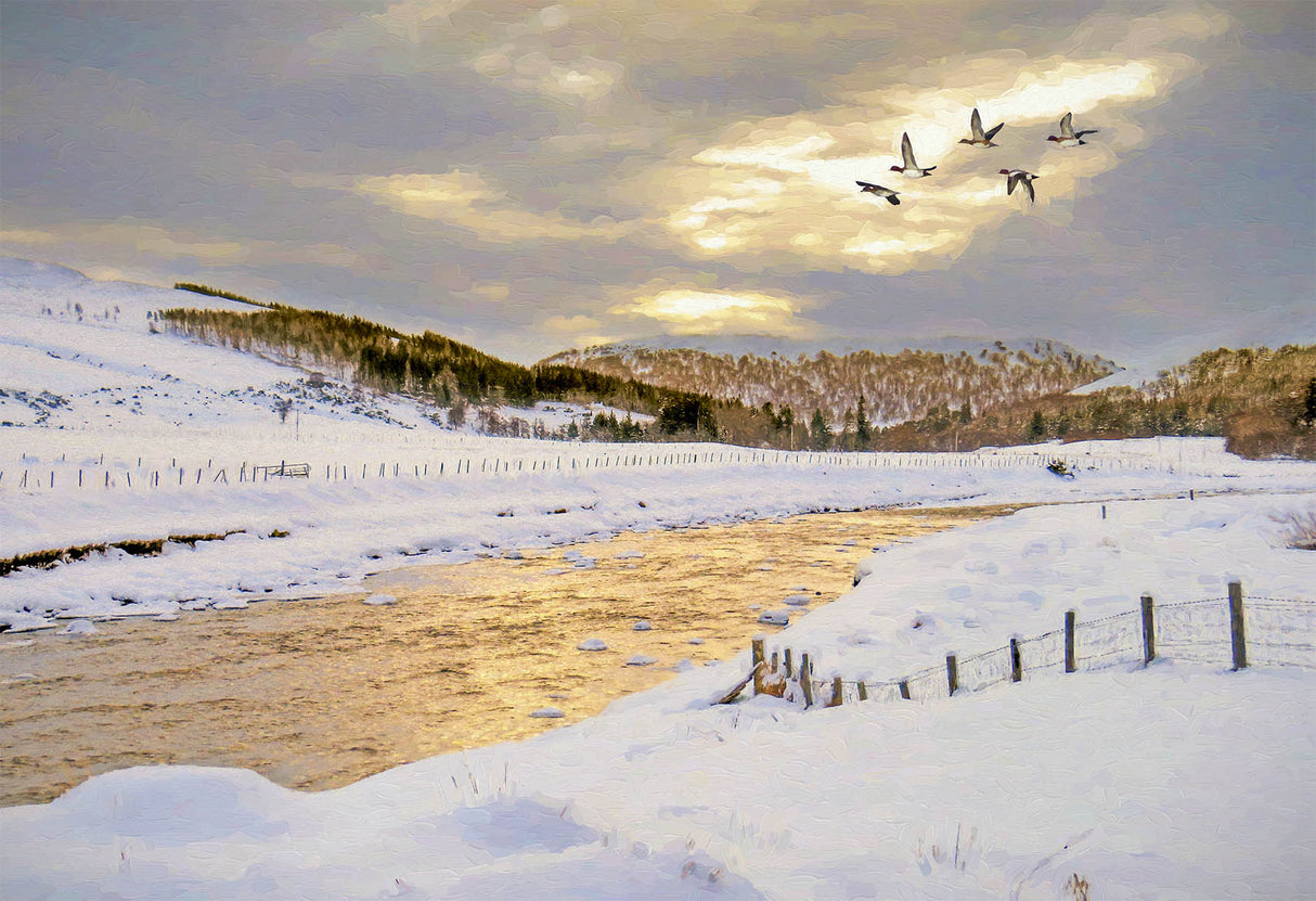 Evening light by the Findhorn