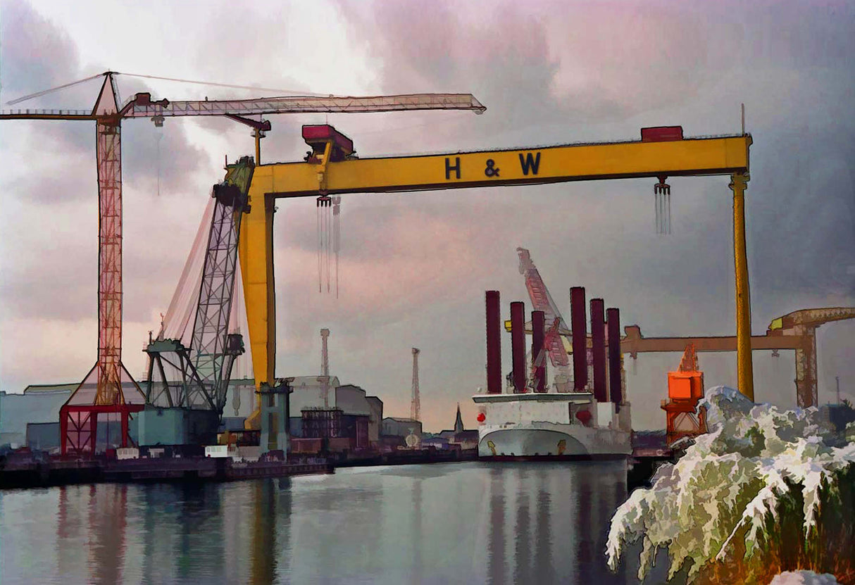 Cold day at the Yard