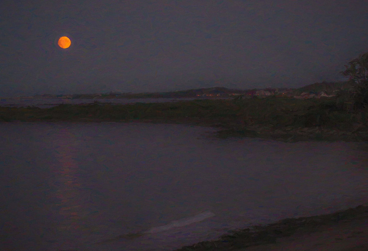 Harvest Moon , near Millisle