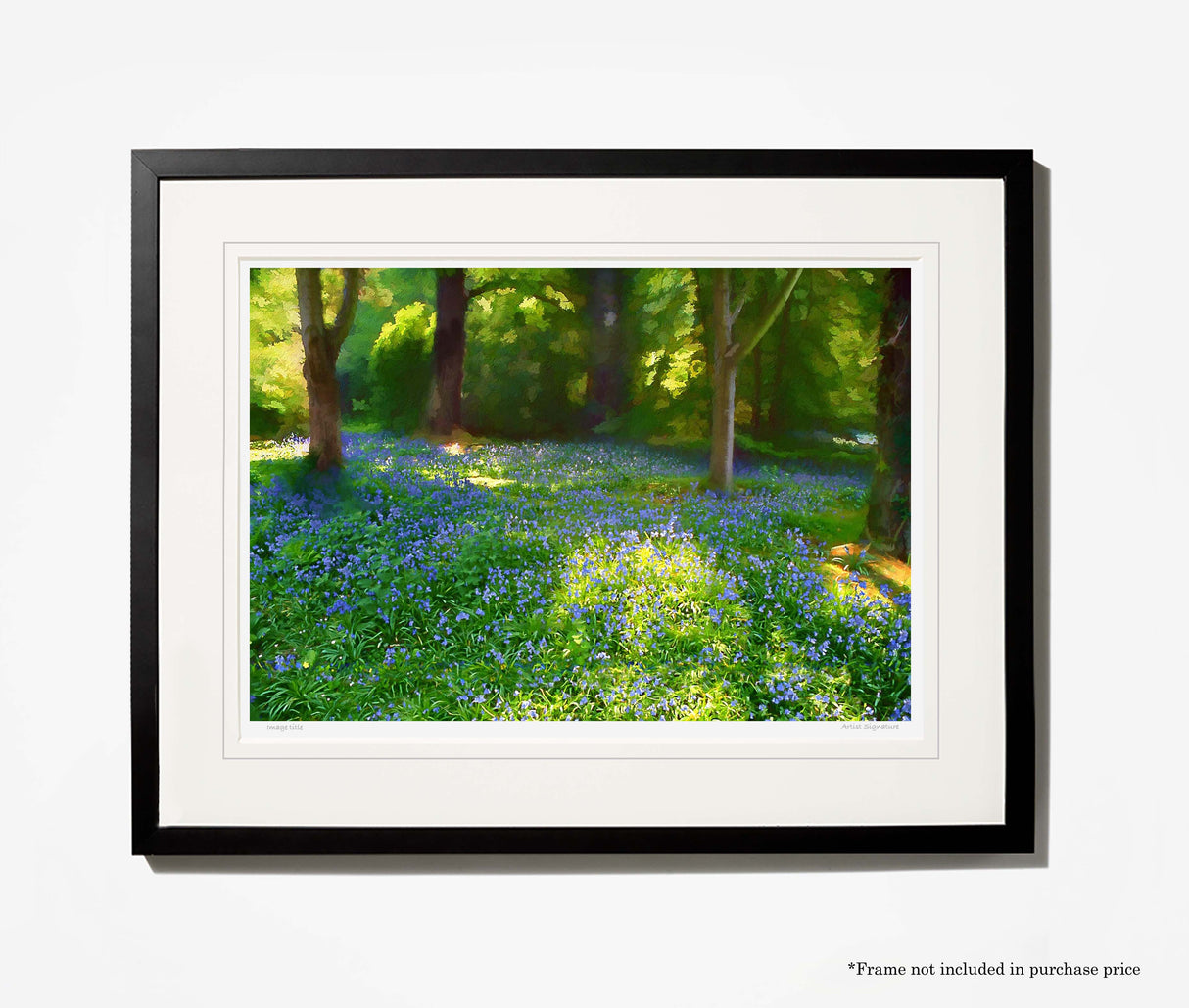 Mount Stewart - Bluebells