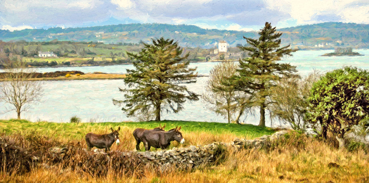 Near Doe Castle , Donegal