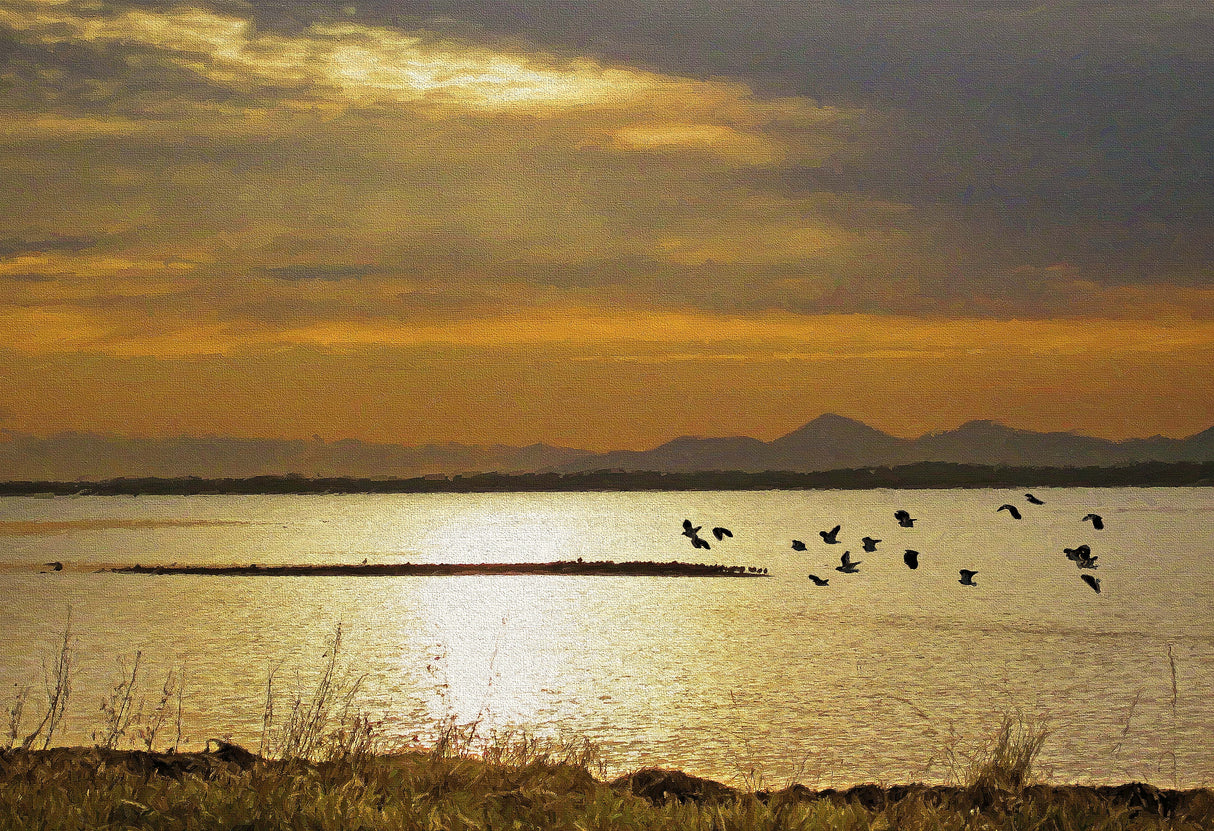 Time to go home , Strangford Lough