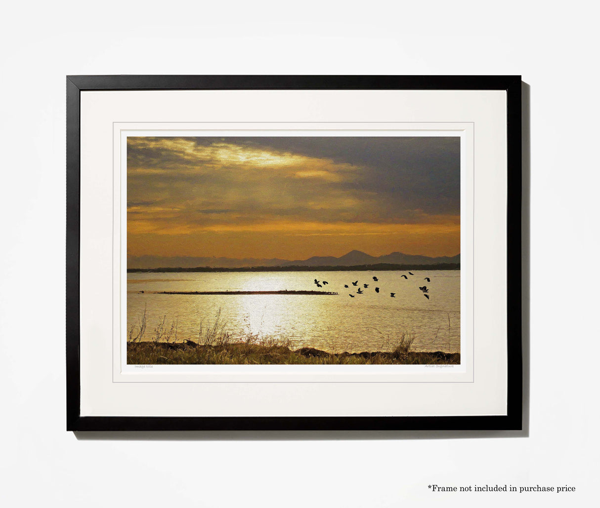 Time to go home , Strangford Lough