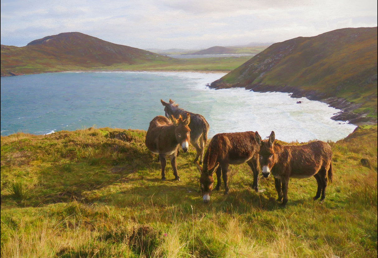 Tranarossan from Atlantic Drive , Donegal