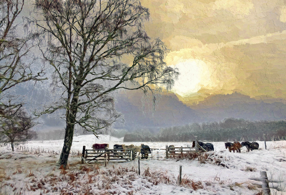 Waiting by the gate , Loch an Eilein