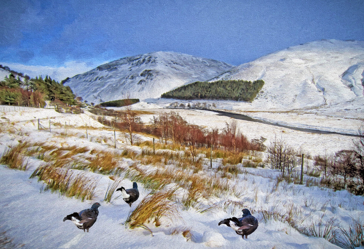 Winter above the Findhorn