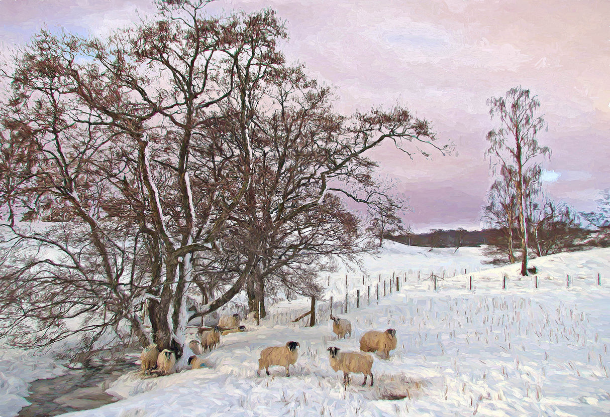 Winter morning by the stream, near Grantown