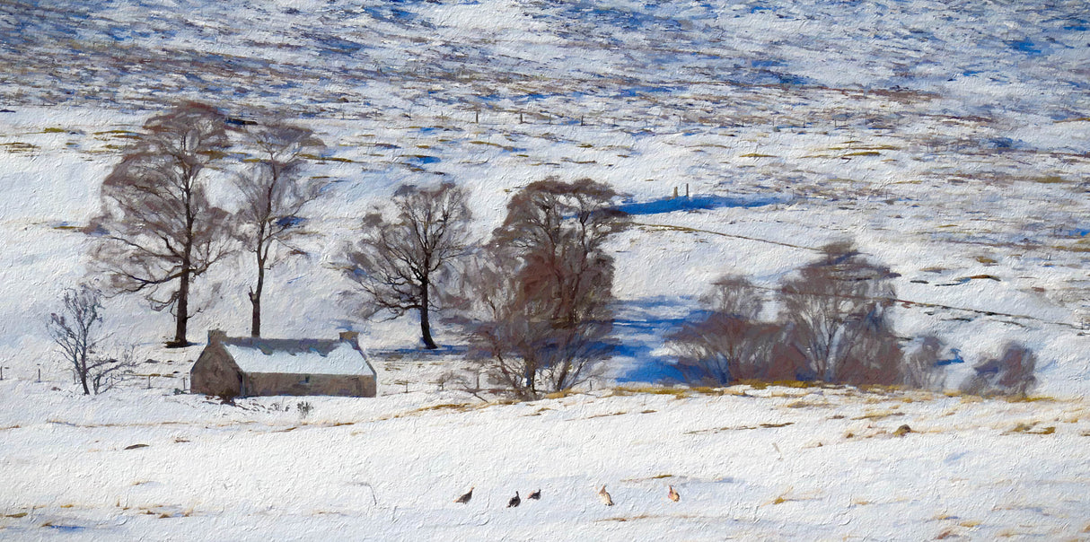 Winter, near Carrbridge