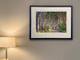 Quiet Reflection, The Dark Hedges