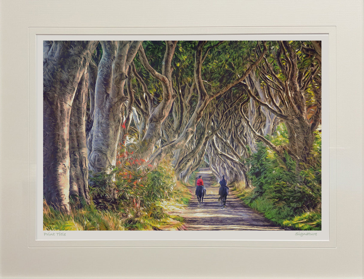 Quiet Reflection, The Dark Hedges