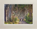 Quiet Reflection, The Dark Hedges
