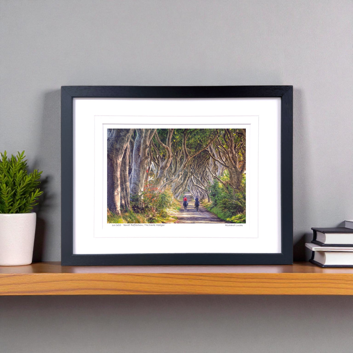 Quiet Reflection, The Darks Hedges - Framed - Small print