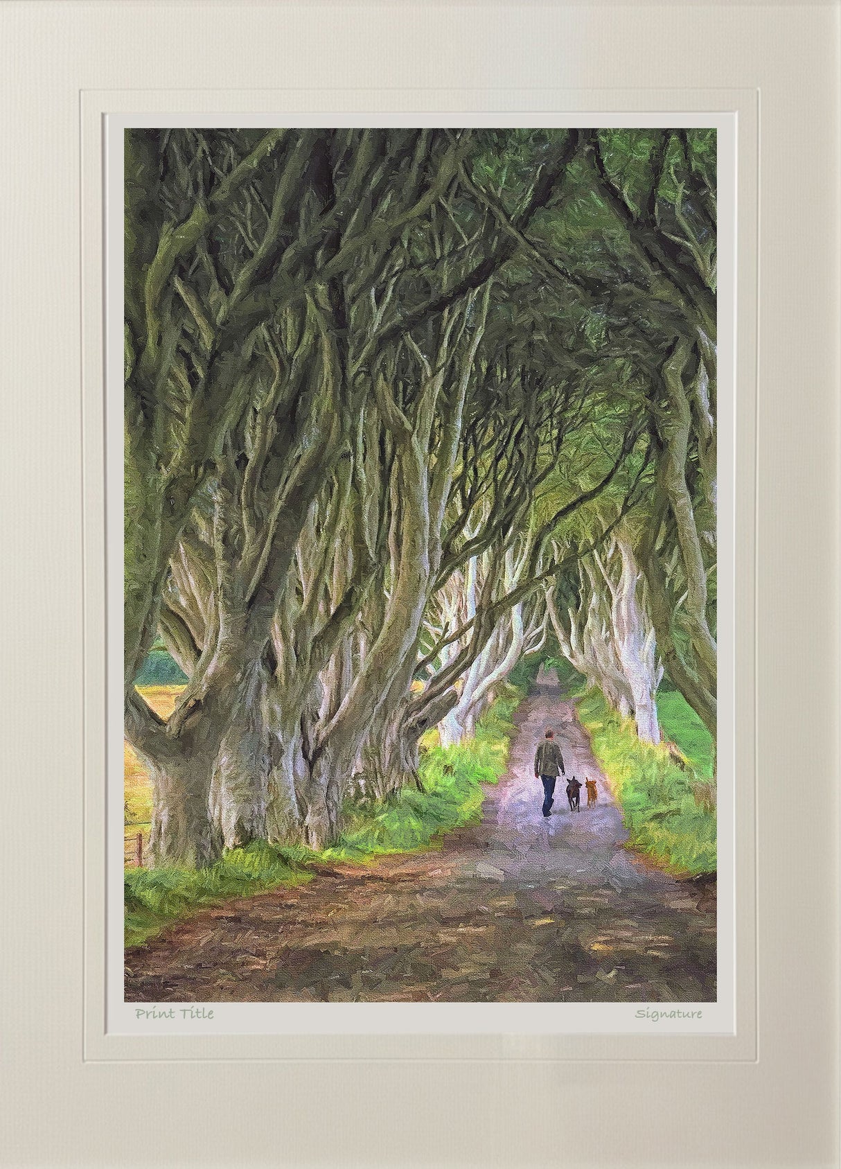 The Dark Hedges