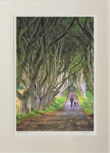 The Dark Hedges