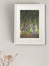 The Dark Hedges