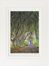 The Dark Hedges