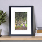 The Dark Hedges - Framed - Small print