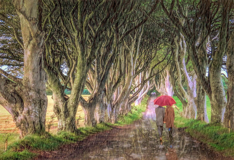 A Walk In The Rain, The Dark Hedges - signed limited edition print by Lucas Creative Art