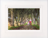A Walk In The Rain, The Dark Hedges