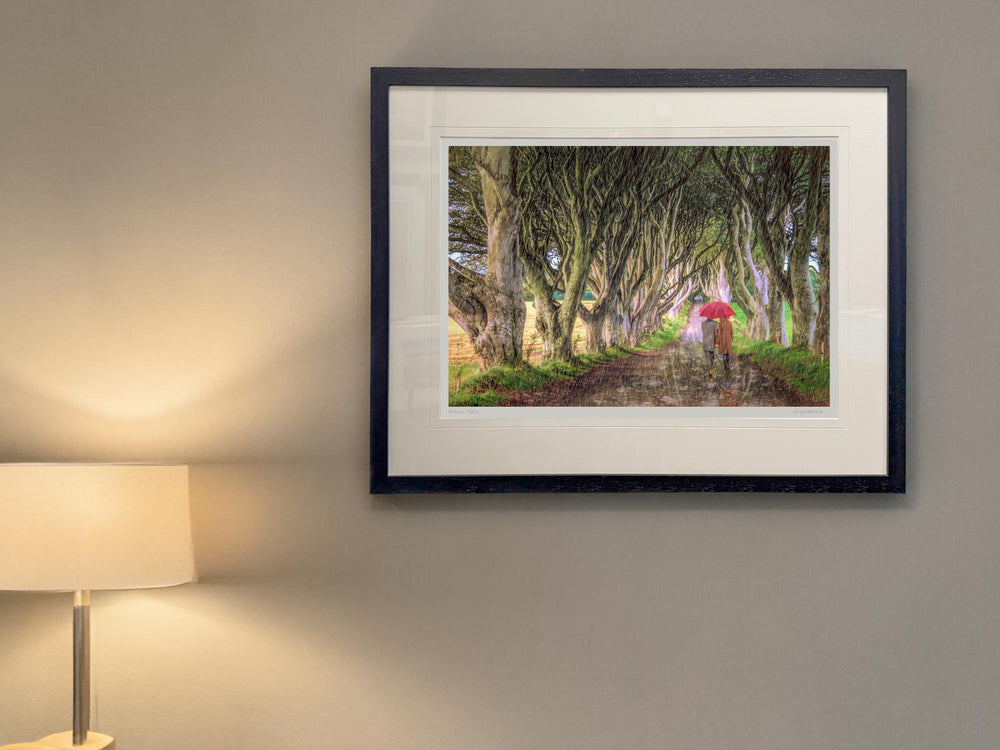 A Walk In The Rain, The Dark Hedges