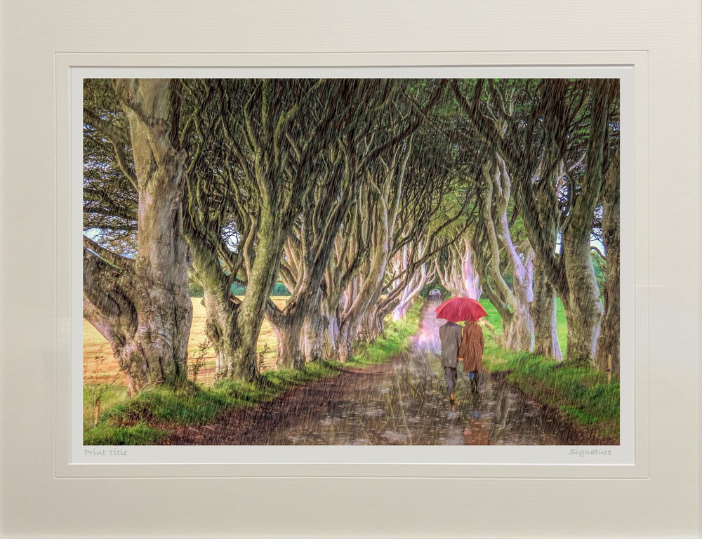 A Walk In The Rain, The Dark Hedges