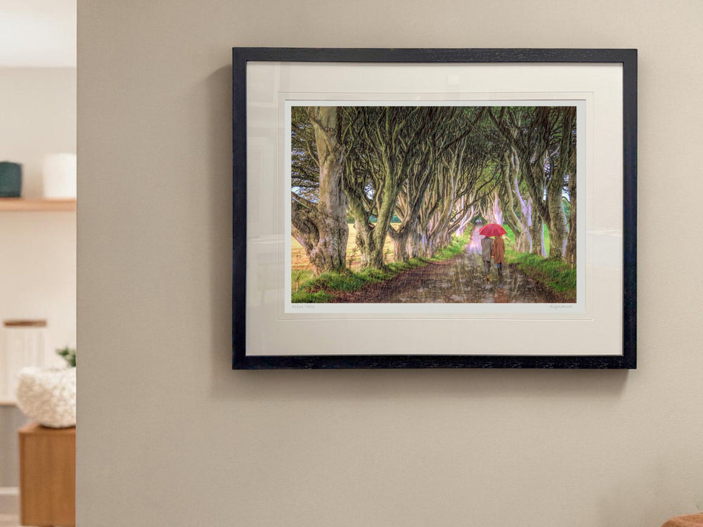 A Walk In The Rain, The Dark Hedges
